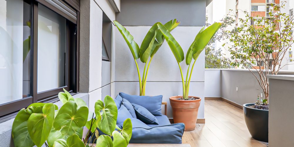 AC2702 - One_Gardem-115